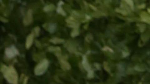 Ariana Grande posando en una alfombra roja.