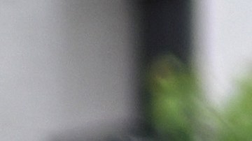 Agentes de la Policía Federal salen de la vivienda del exministro y general del Ejército Augusto Heleno hoy, en Brasilia