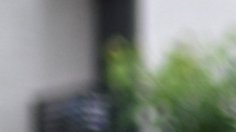 Agentes de la Policía Federal salen de la vivienda del exministro y general del Ejército Augusto Heleno hoy, en Brasilia