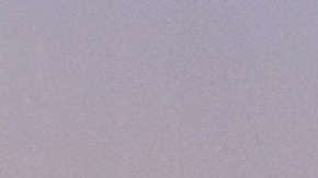 A Daniel Bisogno le detectaron una bacteria.