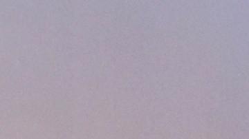 A Daniel Bisogno le detectaron una bacteria.