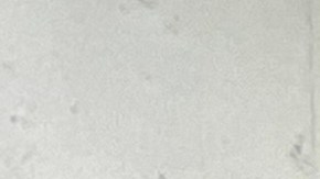 Nuevos migrantes en el albergue Austell Place en Queens