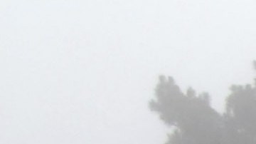 El joven de 15 años asesinó a los miembros de su familia.