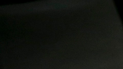 Personal médico recoge un óvulo en una placa de laboratorio durante un tratamiento de infertilidad mediante fertilización in vitro (FIV).