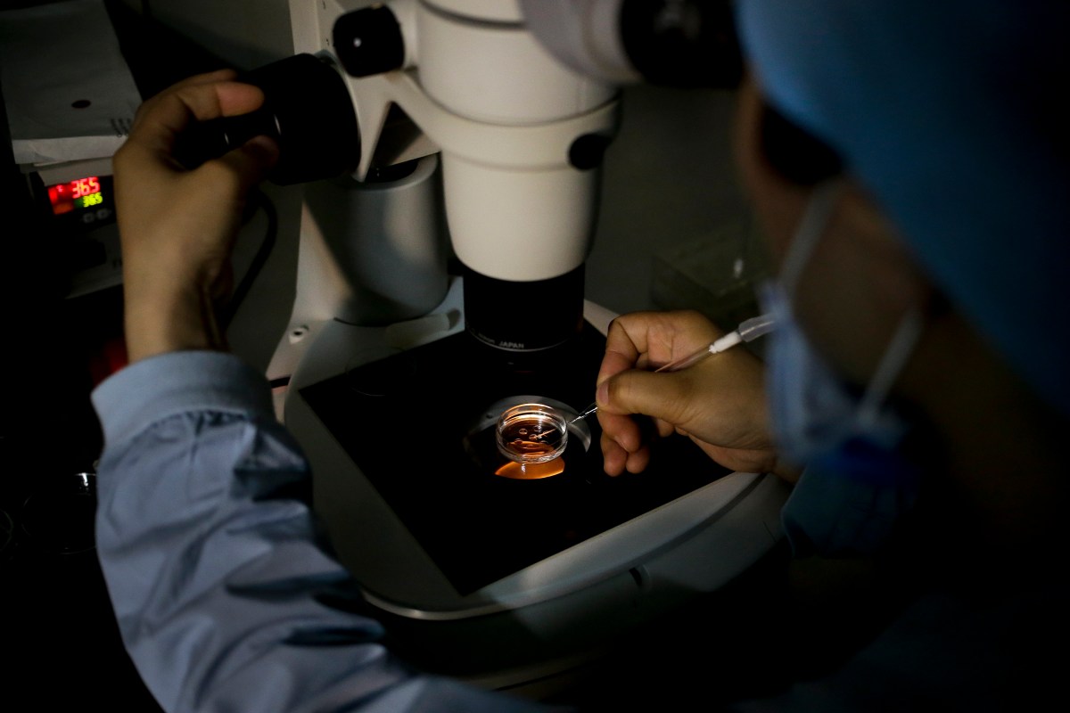 Senadores republicanos bloquean proyecto de ley para proteger la fecundación in vitro