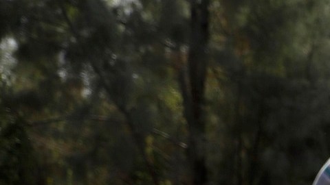 El gobierno de Florida se oponen al programa 'catch and release'.