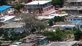 Toldos azules en viviendas de Puerto Rico