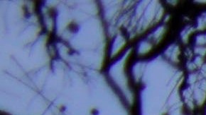 Estadio Santiago Bernabéu recibirá el primer partido de temporada regular de la NFL en España en 2025