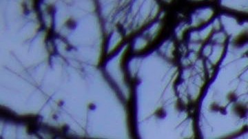 Estadio Santiago Bernabéu recibirá el primer partido de temporada regular de la NFL en España en 2025