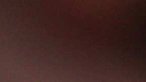 Los cuerpos policiales se encuentran buscando a los responsables del hecho.