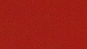 Futbolista portugués William Carvalho bajo investigación por un presunto delito de agresión sexual