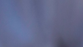 Fiscalía General de El Salvador tiene plazo para investigar a casi 500 líderes de la Mara Salvatrucha