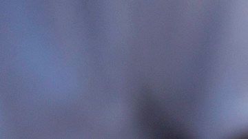 Fiscalía General de El Salvador tiene plazo para investigar a casi 500 líderes de la Mara Salvatrucha