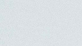 Bruce Willis y Emma Heming