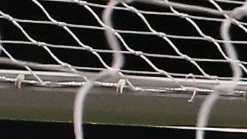 Jeque qatarí invadió terreno de juego para protestar penal contra su equipo [Video]