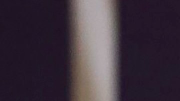 Roger Taylor mantuvo la propiedad en perfecto estado.