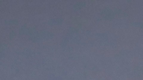 Patrick Mahomes disfrutó por todo lo alto de su estancia en Disneyland tras el Super Bowl.