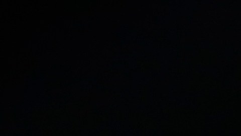 La orden ejecutiva que firmará Biden es la medida más importante que ha tomado un presidente en la historia de Estados Unidos.