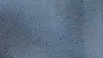 Ronald Acuña Jr. figura como el mejor pelotero de las Grandes Ligas actualmente.