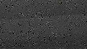 Estados Unidos celebrando la Copa Oro.