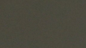 Actualmente, el hermano de Alexei Navalny se encuentra fuera de Rusia.