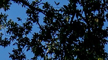 El Congreso negocia un nuevo proyecto de presupuesto suplementario, pero sin plan migratorio.