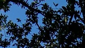 AP21292534044882_d2f0cb