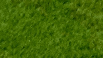 Kylian Mbappé quiere registrar su particular celebración.