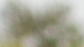 La Cruz Roja pidió dar prioridad a la vida de los civiles y respetar los principios del derecho internacional humanitario.