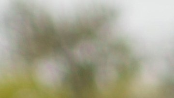 La Cruz Roja pidió dar prioridad a la vida de los civiles y respetar los principios del derecho internacional humanitario.