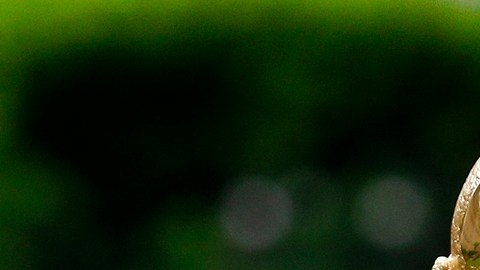 La Copa del Mundo 2026 premiará al campeón en el Mundial 2026.