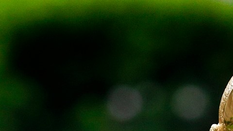 La Copa del Mundo 2026 premiará al campeón en el Mundial 2026.