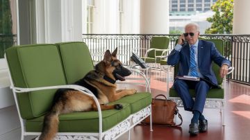 Joe Biden y su perro Commander.