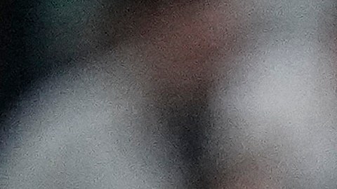 Los New York Yankees apuntan al título del Este en la Liga Americana.