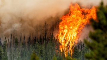 Un incendio forestal al norte de Fort St. John, Columbia Británica