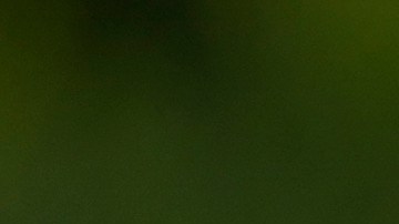 Tata Martino, entrenador del Inter Miami.