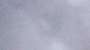 Severe Weather Chicago