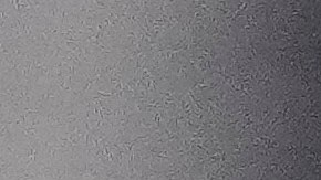 México debuta en la Copa América ante Jamaica. En la imagen, el entrenador Jaime Lozano.