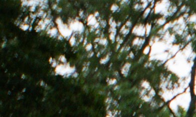 Tanto la primera víctima como otros dos agentes fueron trasladados al Hospital Universitario Stony Brook.