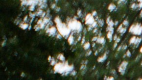 Tanto la primera víctima como otros dos agentes fueron trasladados al Hospital Universitario Stony Brook.