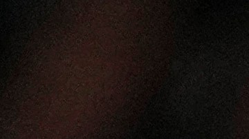 Alex Morgan convocada de emergencia por EE.UU. para disputar la Copa Oro