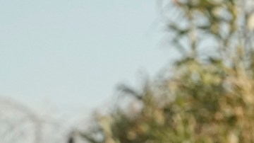 ¿Quiénes no podrían solicitar asilo en Estados Unidos si el Senado aprueba el acuerdo migratorio?