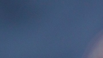 Tata Martino durante un encuentro de la Leagues Cup en 2023 con Inter Miami.