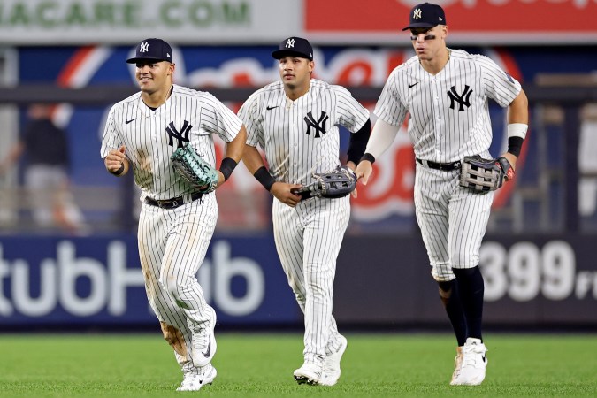Jasson Domínguez confía en trabajar de cerca con las estrellas del equipo, como con Aaron Judge o Juan Soto. FOTO: AP Photo/Adam Hunger.