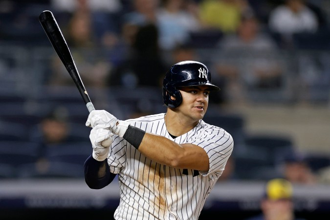Jasson Domínguez podría estar de regreso a la acción para la segunda mitad de la temporada 2024. FOTO: AP Photo/Adam Hunger.
