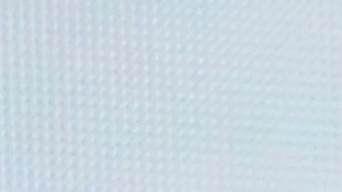 Russia Cultural Forum Putin