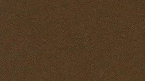 Estatua de Dani Alves sufrió diversos actos vandálicos en el nordeste de Brasil