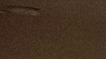 Una reunión del Consejo de Seguridad de la ONU debió frenarse durante unos minutos por el sismo en Nueva York.