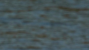 Cifra de detenidos en cárceles migratorias de EE. UU. llegó a su punto más alto en era de Joe Biden