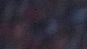 Jugadores de Costa de Marfil celebran luego de la obtención de la Copa Africana de Naciones.